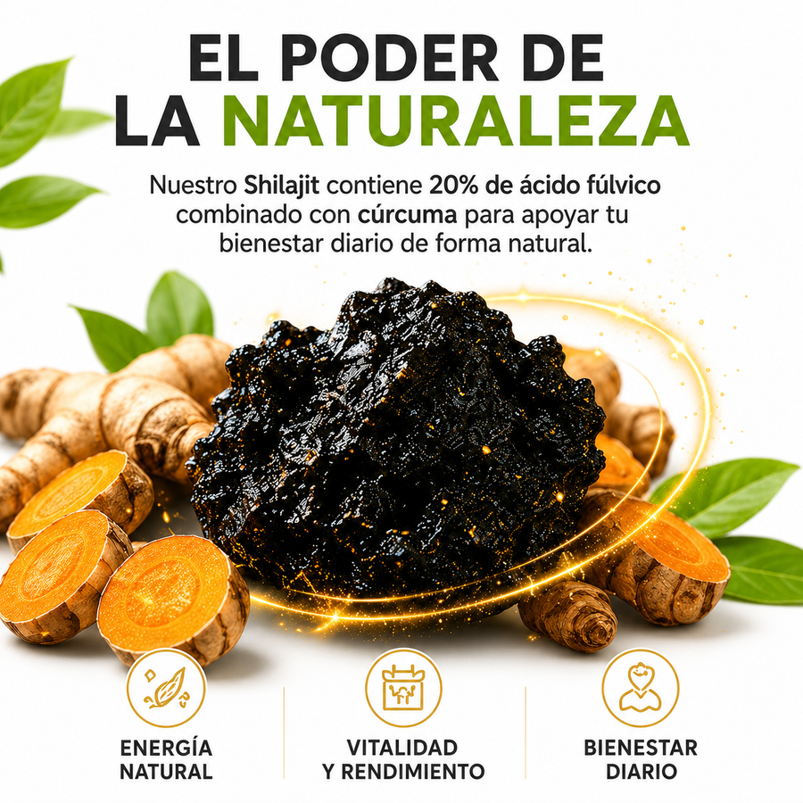Un tesoro de las montañas eternas